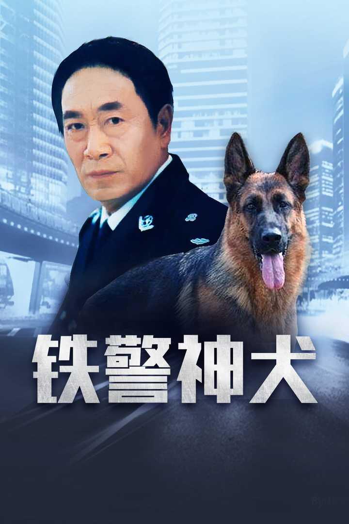 铁警神犬,忠诚守护，智慧追踪的警犬传奇