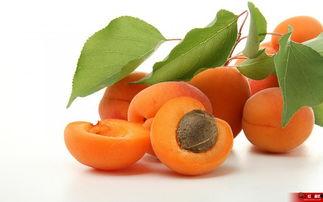 王可乐麻麻吃瓜娱乐版,吃瓜娱乐背后的温馨故事